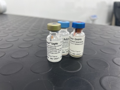 Вакцинация Нобивак комплекс
